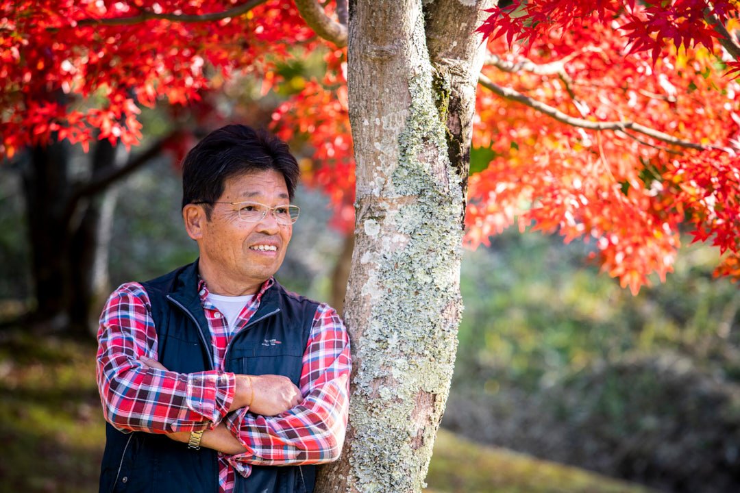 SeniorModel