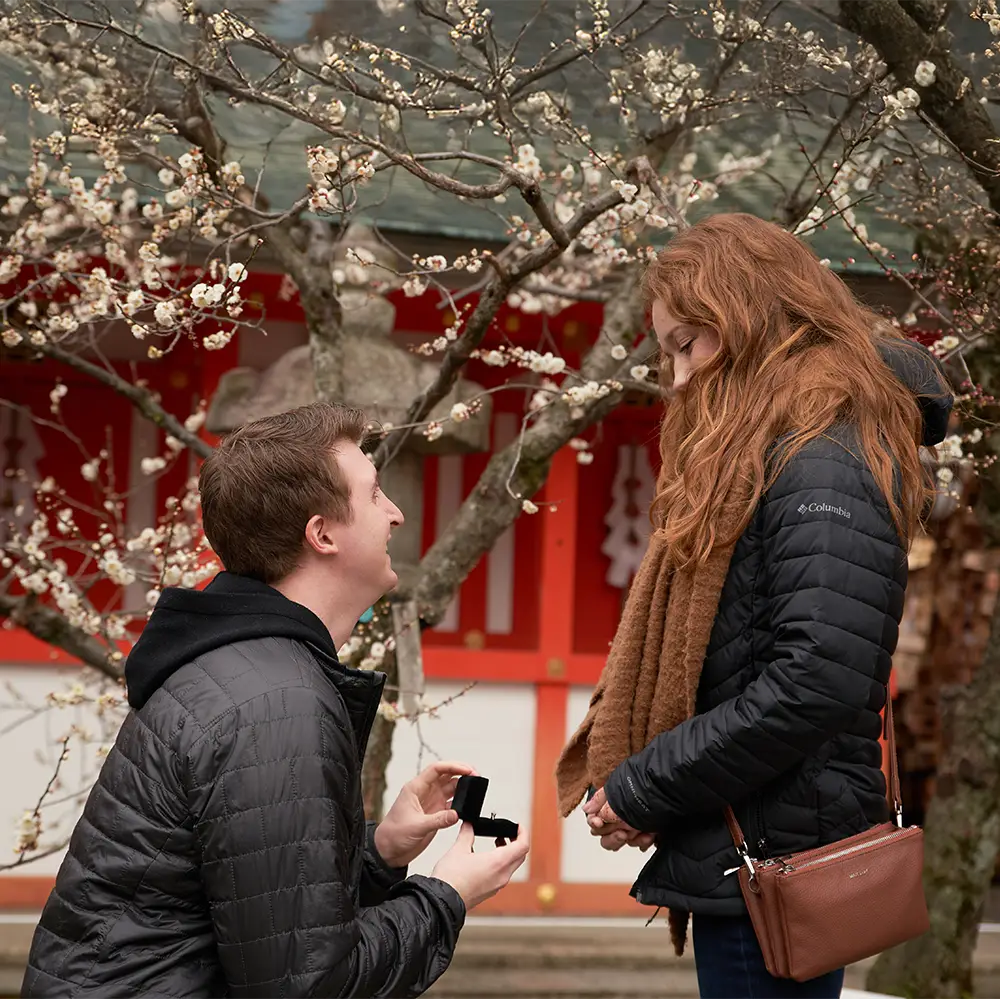 Hidden photographer capturing a surprise proposal at a Kyoto shrine in plum blossom season